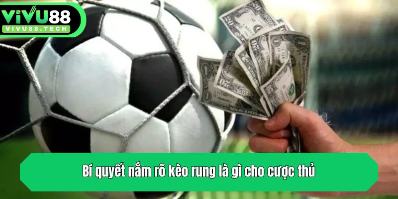 Bí quyết nắm rõ kèo rung là gì cho cược thủ