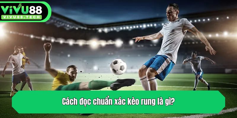 Cách đọc chuẩn xác kèo rung là gì?