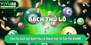 chia se cach bat bach thu lo chuan xac tu cao thu vivu88