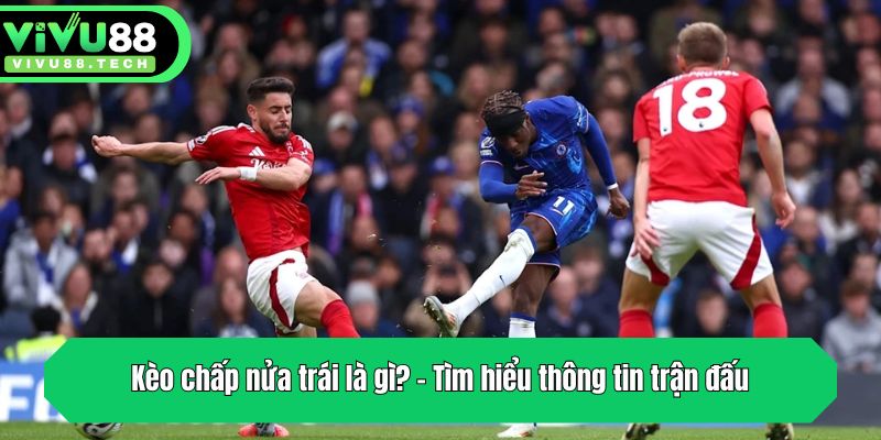 Kèo chấp nửa trái là gì? - Tìm hiểu thông tin trận đấu