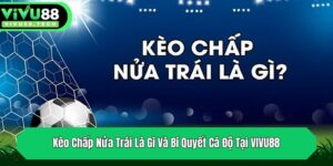 keo chap nua trai la gi va bi quyet ca do tai vivu88