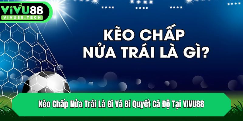 keo chap nua trai la gi va bi quyet ca do tai vivu88