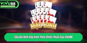 sap bai binh xap xam theo chien thuat cua vivu88